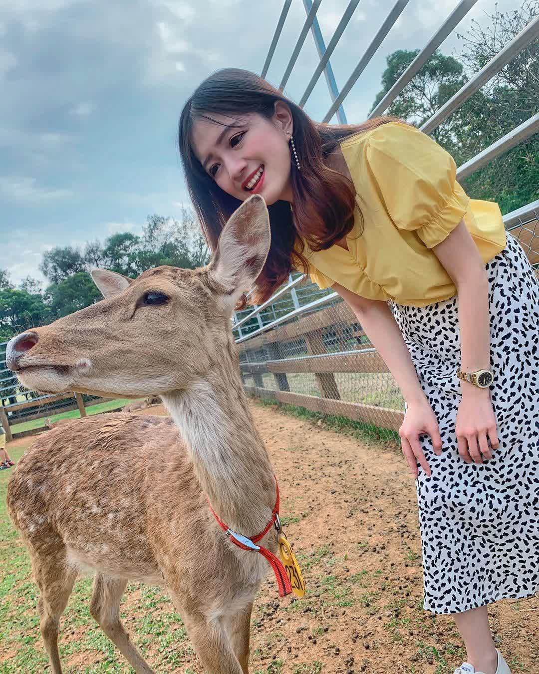 埔心牧場 | 去趣 chicTrip