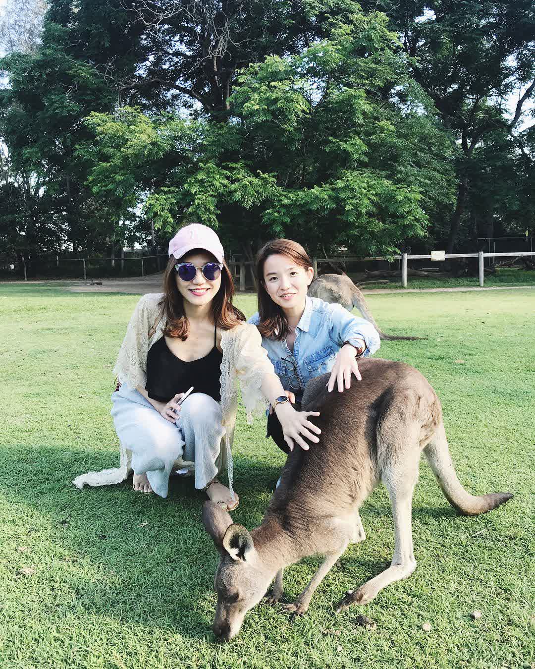龍柏動物園 | 去趣 chicTrip