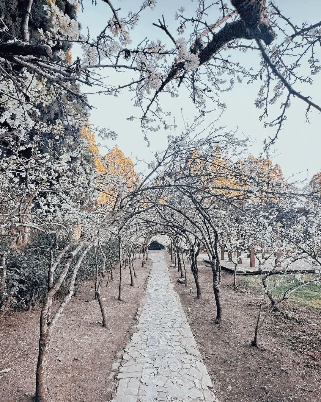 清境農場小瑞士花園 | 去趣 chicTrip