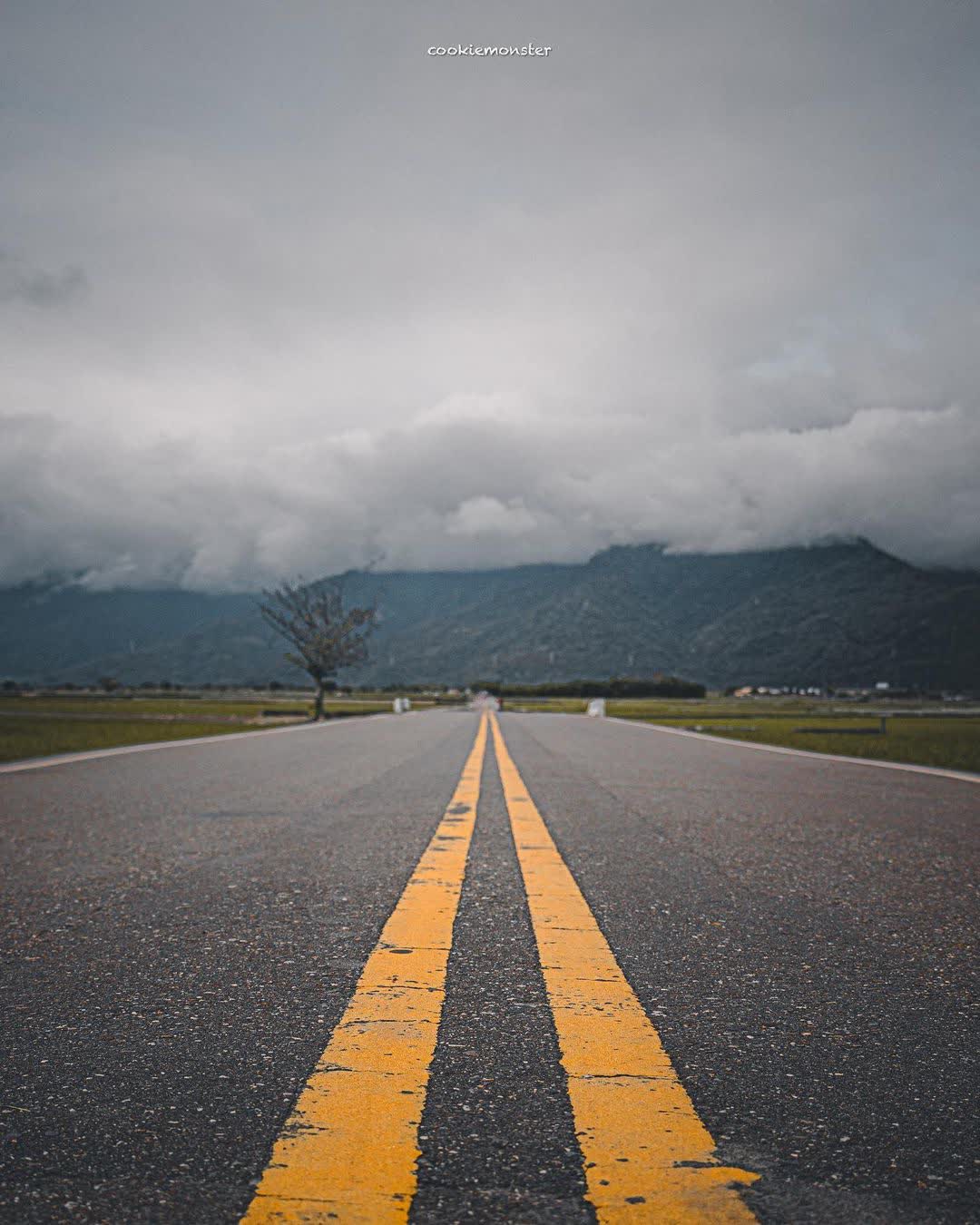 臺東池上錦新三號道路 伯朗大道 | 去趣 chicTrip