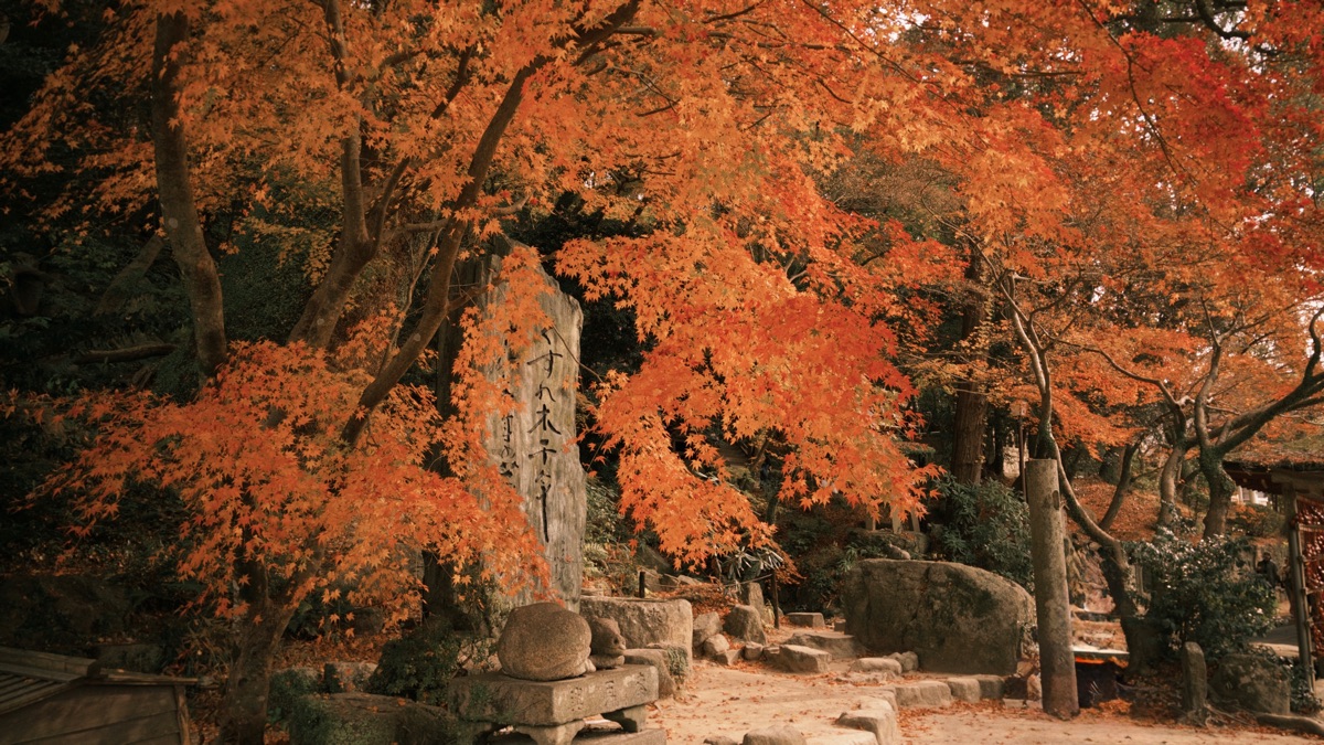 太宰府天滿宮 | 去趣 chicTrip