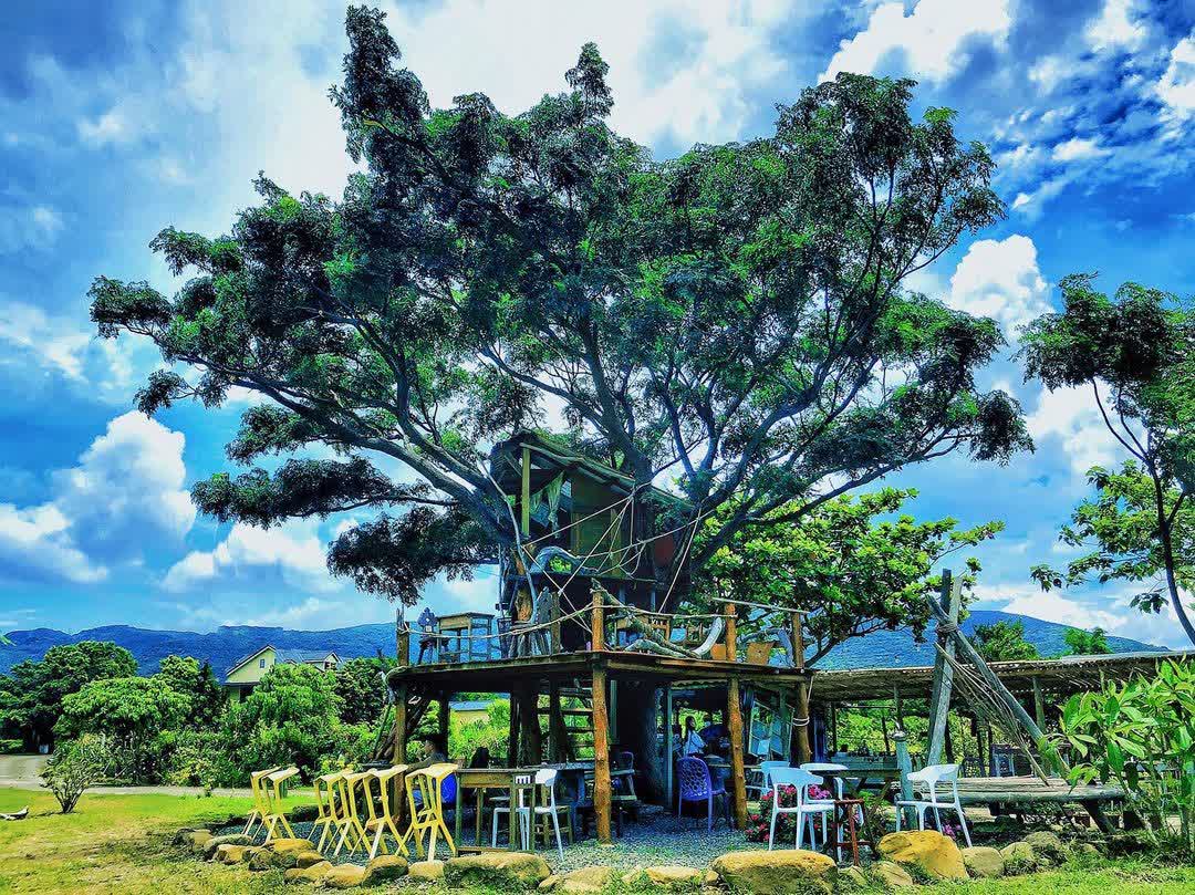 開門見山樹屋咖啡（連假無休）