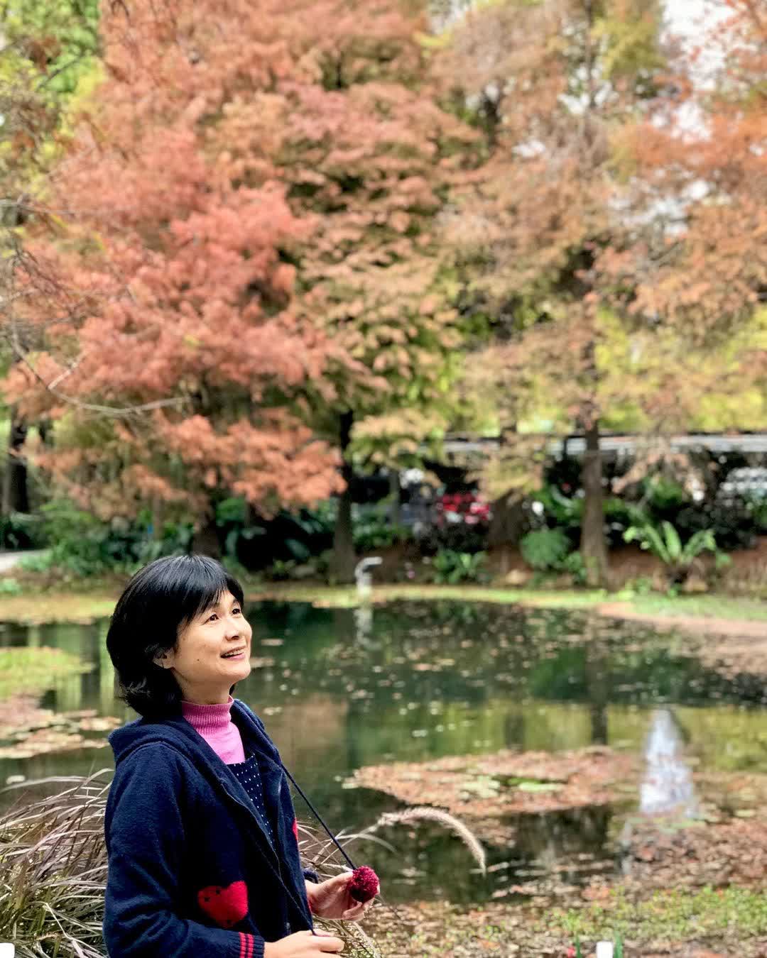 菁芳園 落羽松景觀餐廳 | 去趣 chicTrip