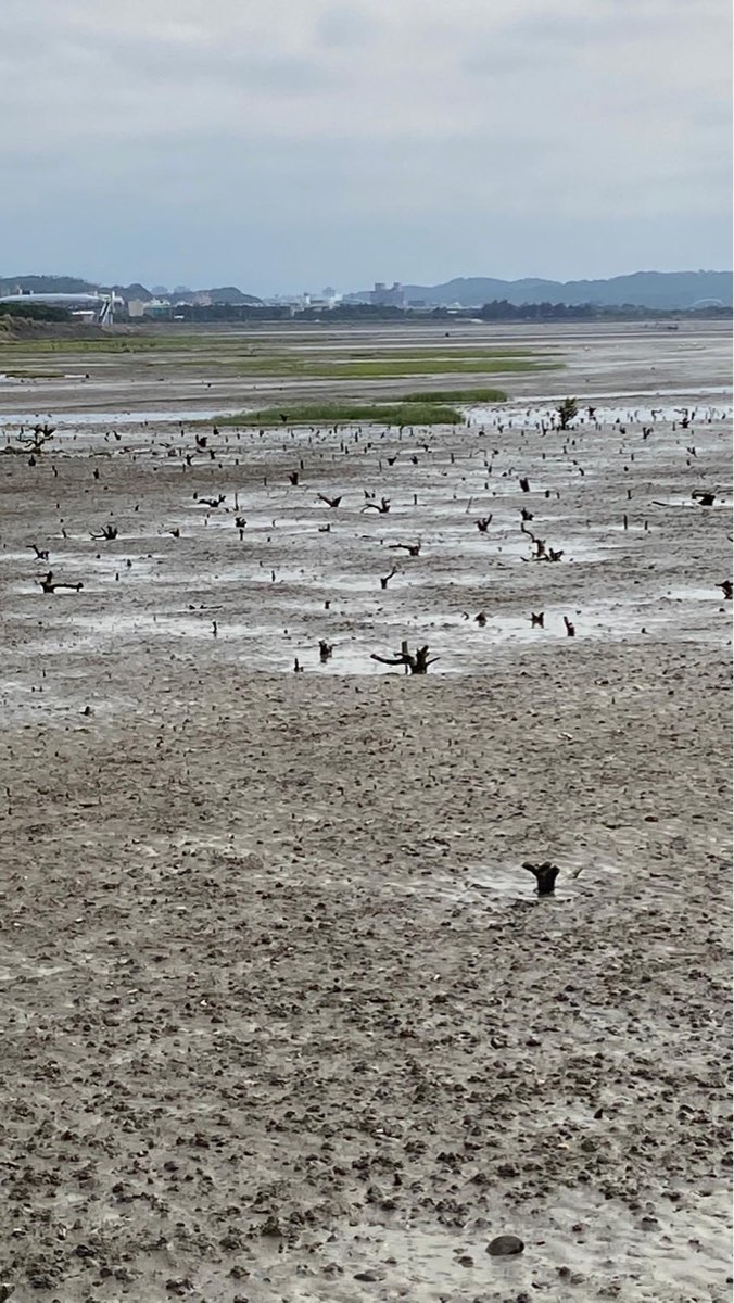 香山濕地 | 去趣 chicTrip