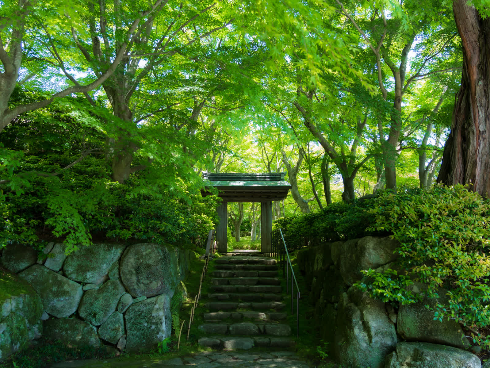 MOA美術館 | 去趣 chicTrip