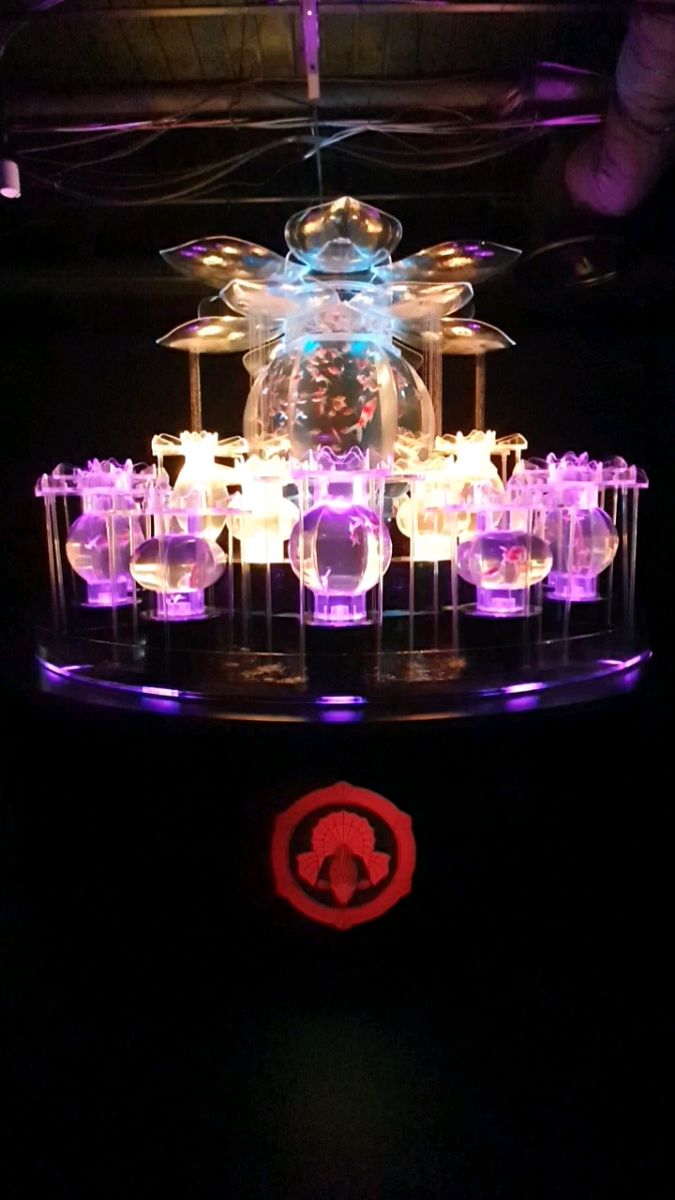 ART AQUARIUM MUSEUM 銀座金魚美術館 | 去趣 chicTrip