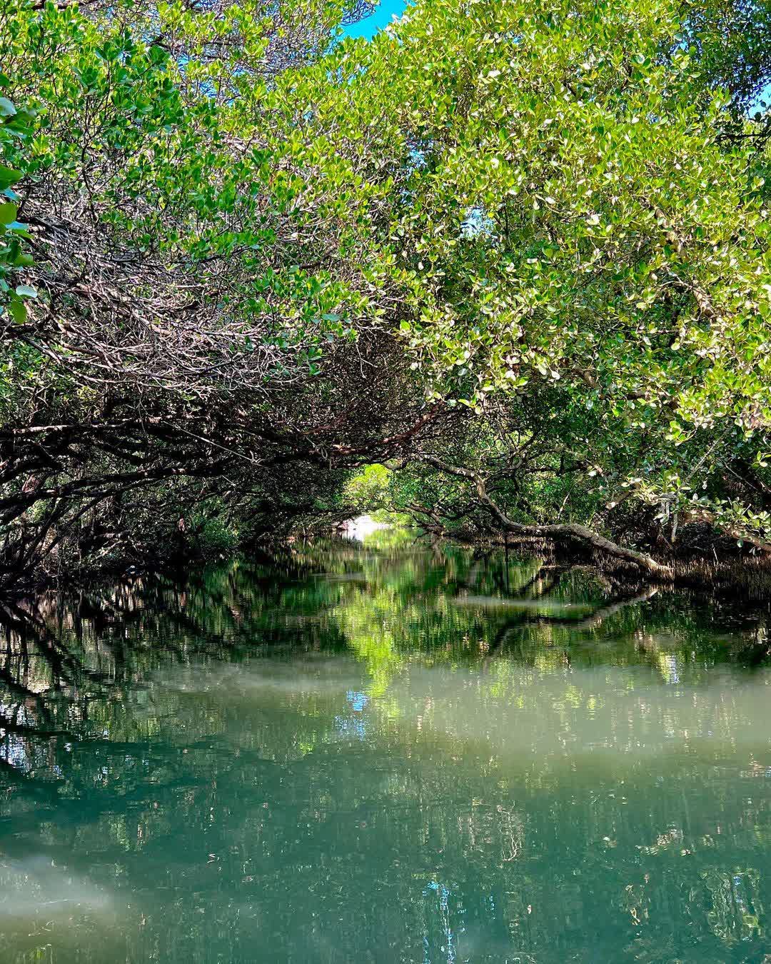 台江國家公園 | 去趣 chicTrip