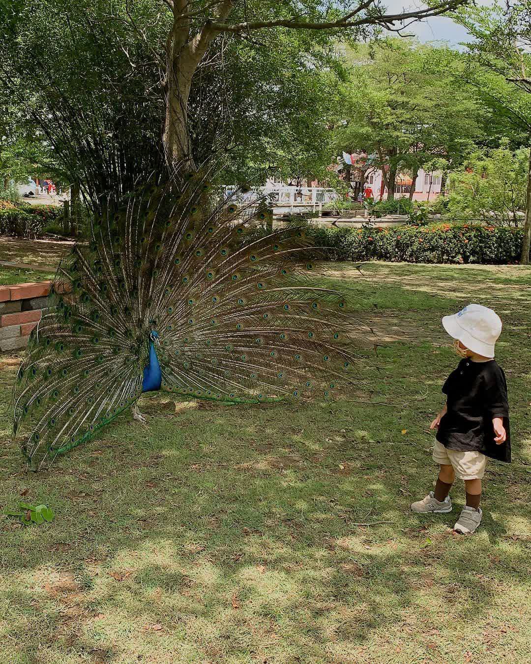 頑皮世界野生動物園 | 去趣 chicTrip