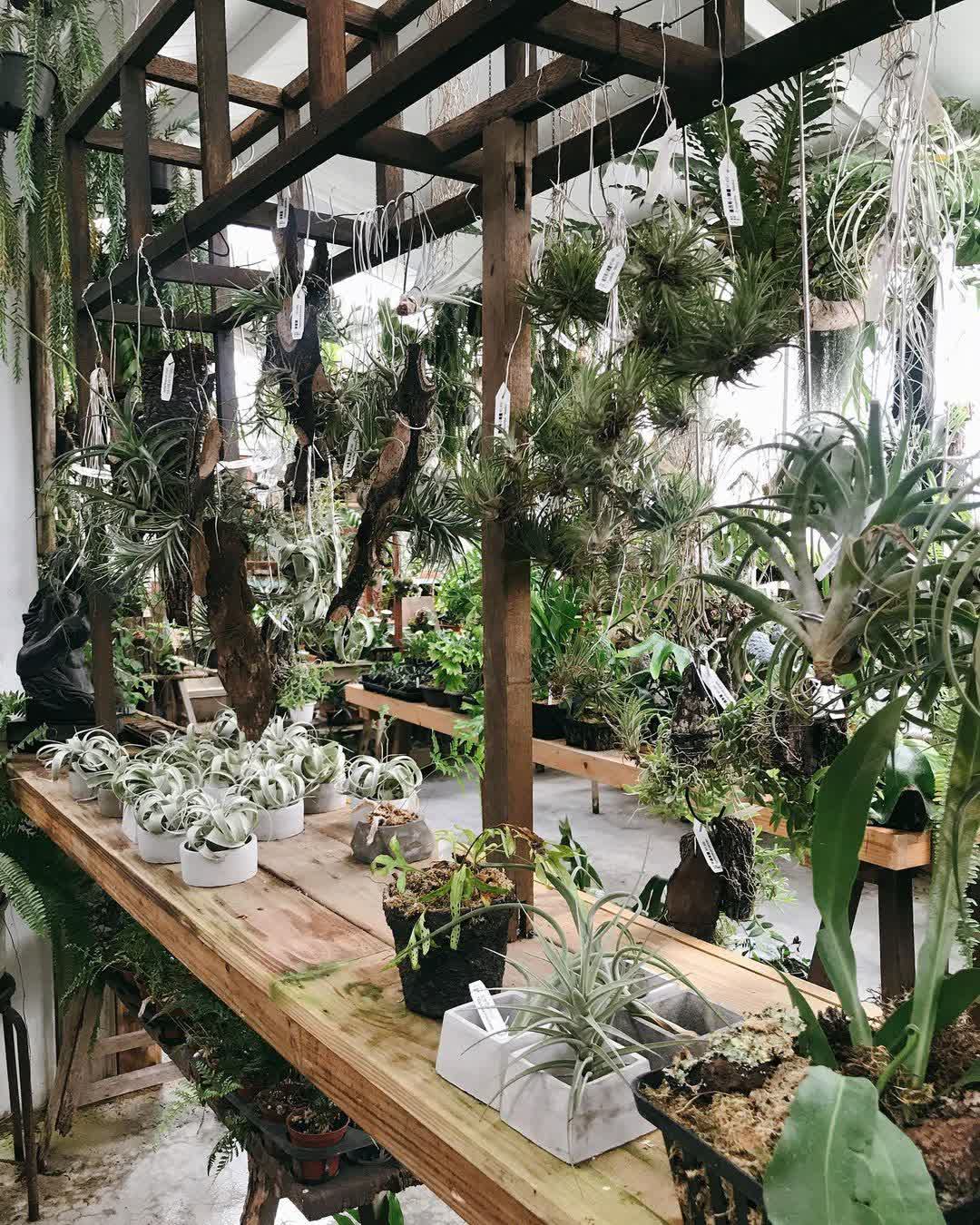 空氣圖書館 AIR LIBRARY | 去趣 chicTrip