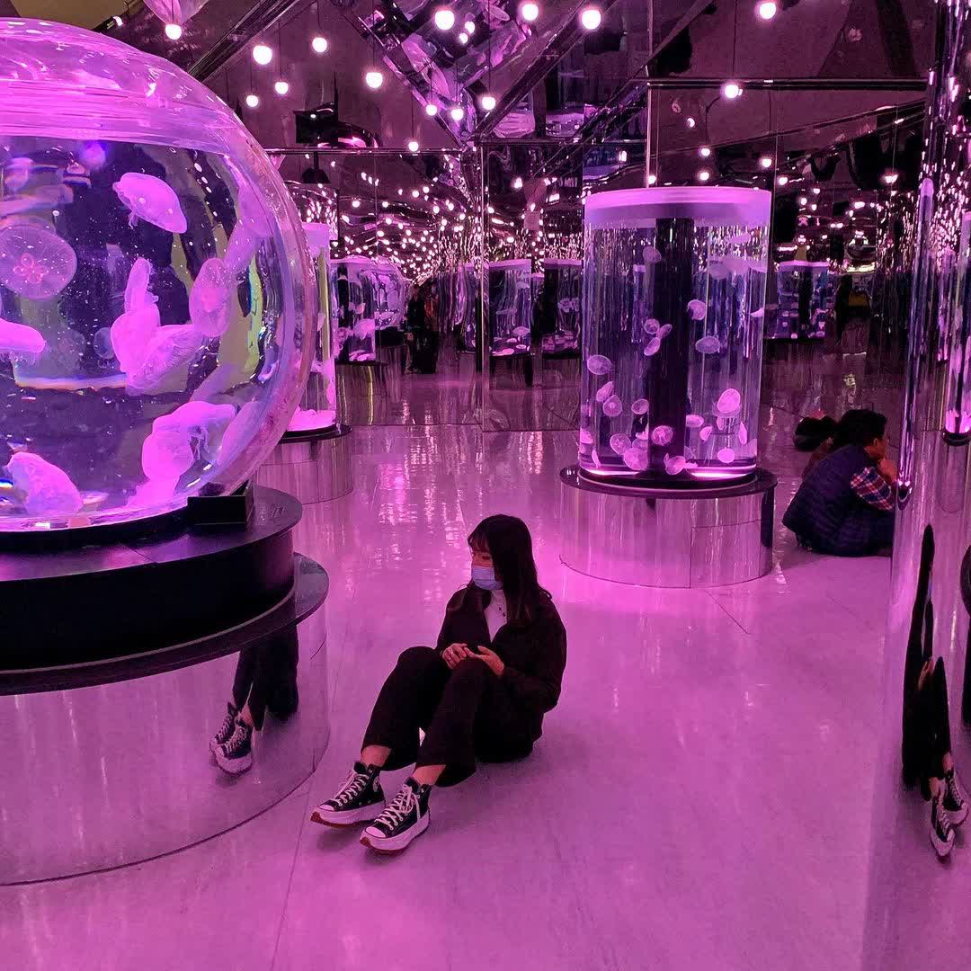 Xpark 水族館 | 去趣 chicTrip