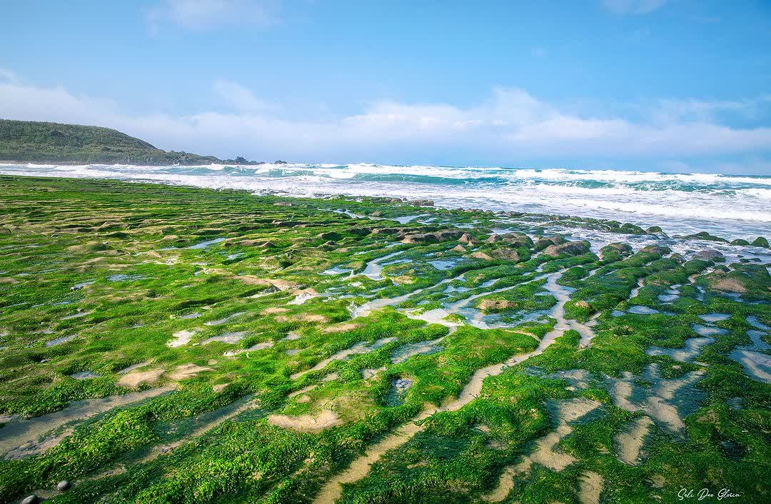 老梅綠石槽 | 去趣 chicTrip