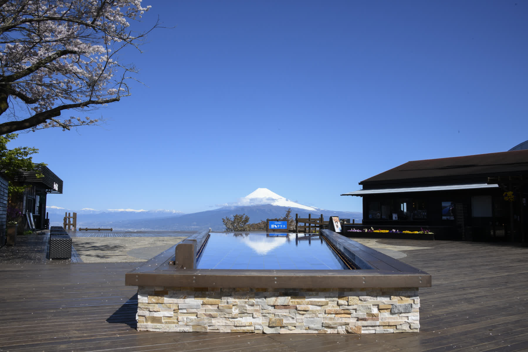 伊豆全景公園 | 去趣 chicTrip