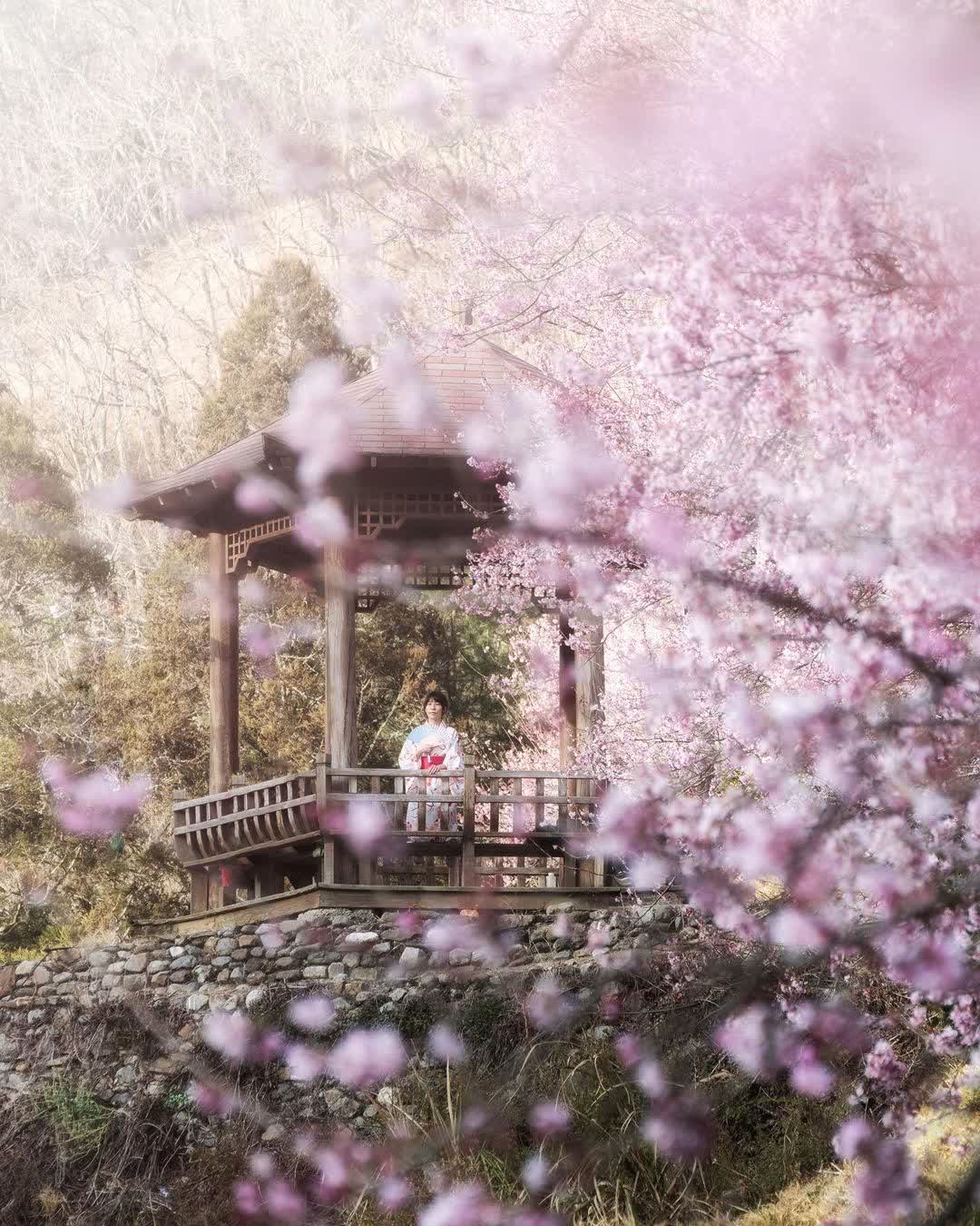 武陵農場 | 去趣 chicTrip