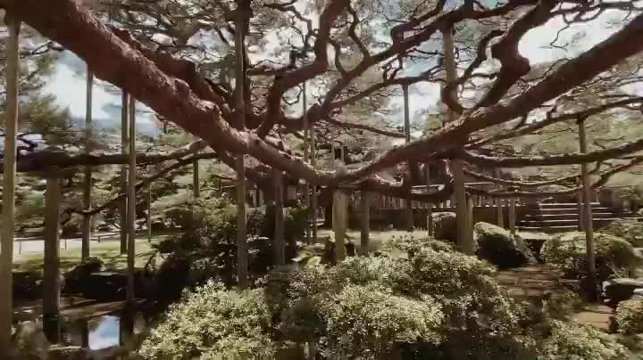 兼六園 | 去趣 chicTrip