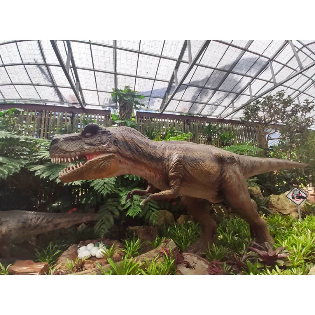 Nago Pineapple Park | 去趣 chicTrip