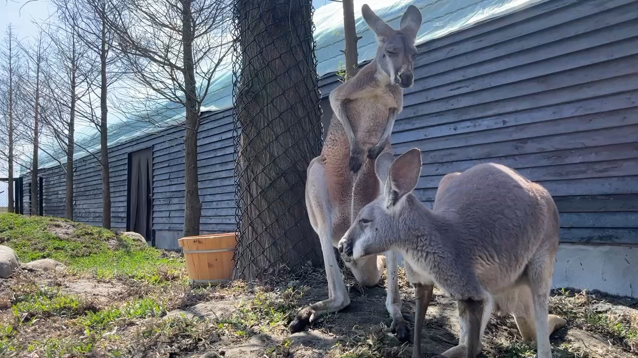 蘭陽動植物王國 | 去趣 chicTrip