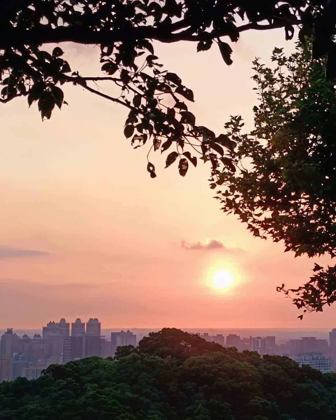 虎頭山環保公園 | 去趣 chicTrip