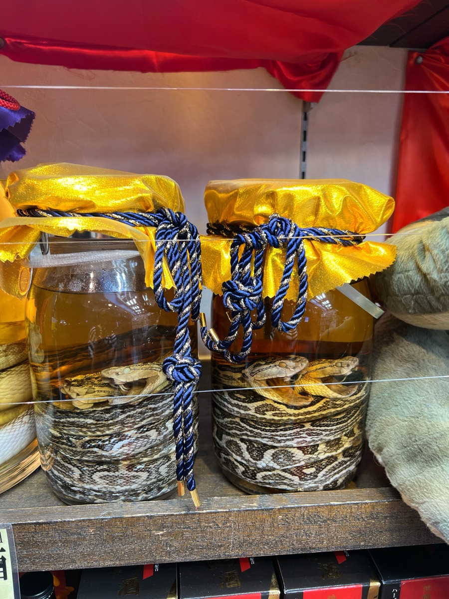 國際通 | 去趣 chicTrip