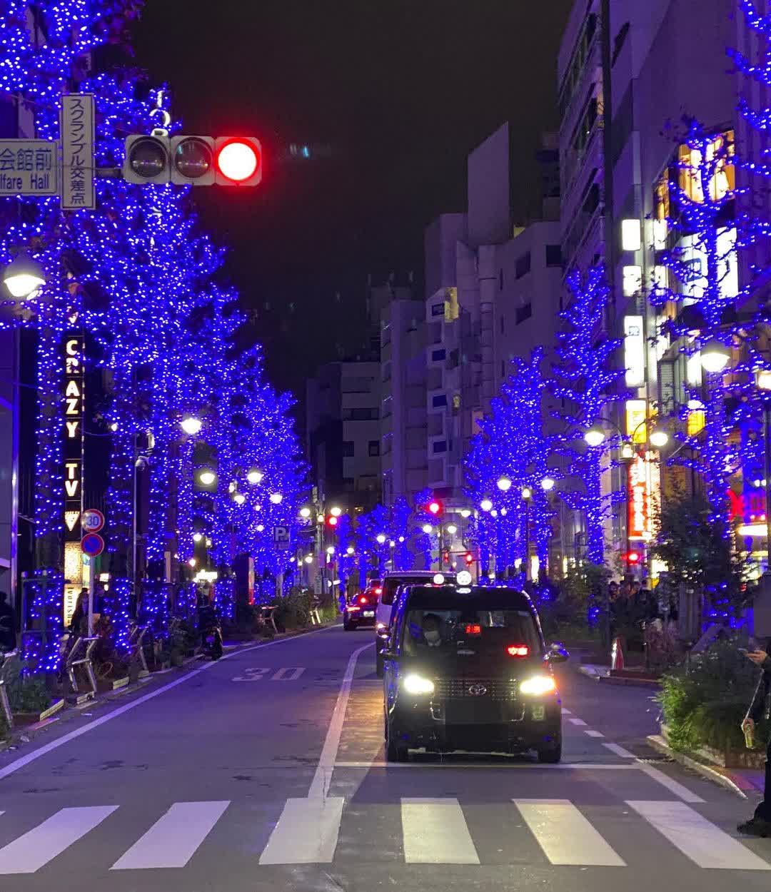 青之洞窟 | 去趣 chicTrip