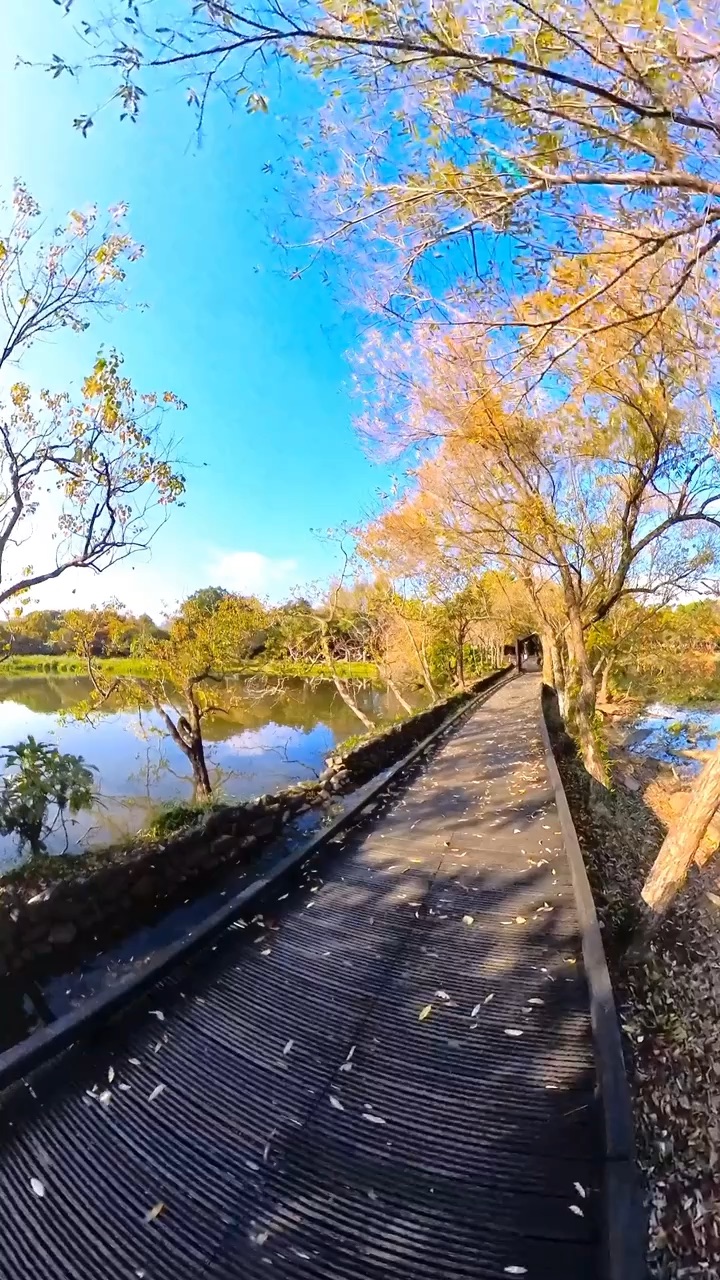 羅東林業文化園區 | 去趣 chicTrip