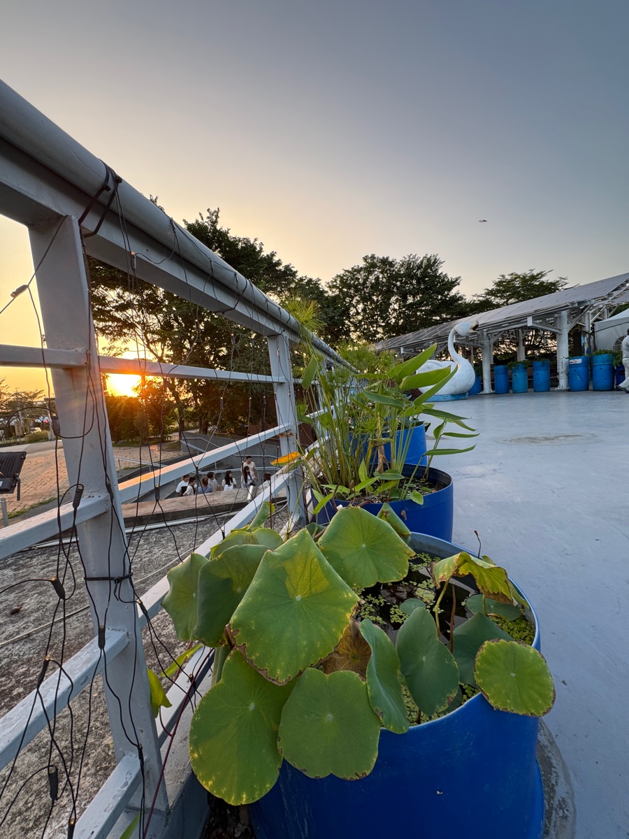 鵝媽媽 鵝童樂園 | 去趣 chicTrip