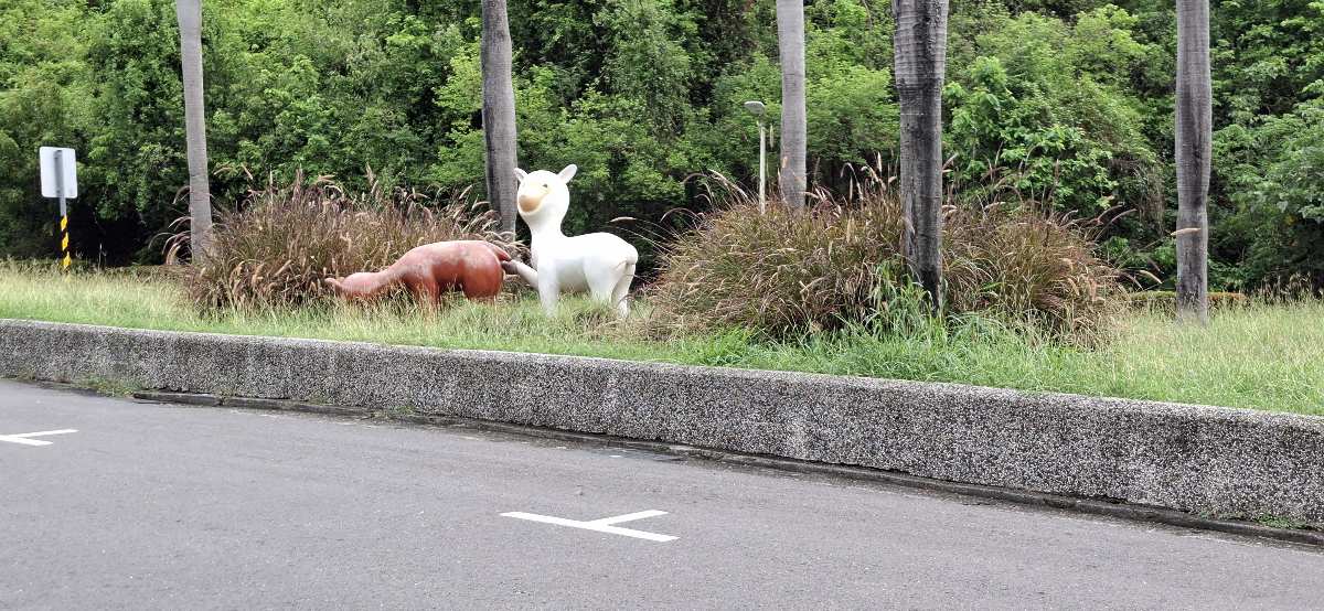 壽山動物園 | 去趣 chicTrip