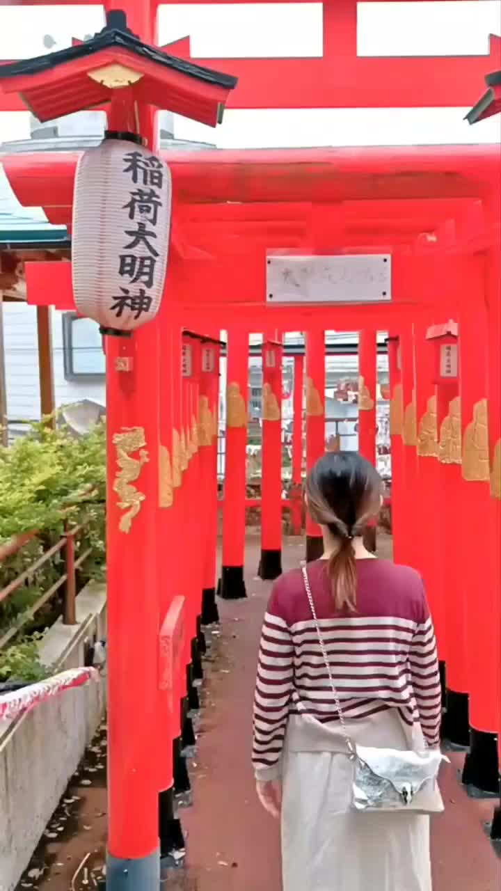 西來院 (達磨寺) | 去趣 chicTrip