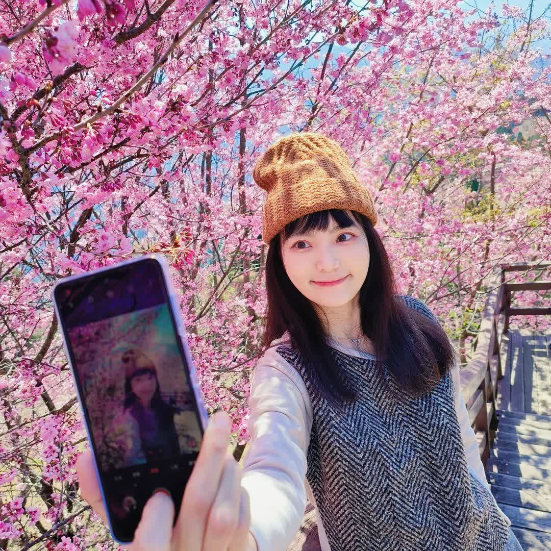 清境農場青青草原 | 去趣 chicTrip