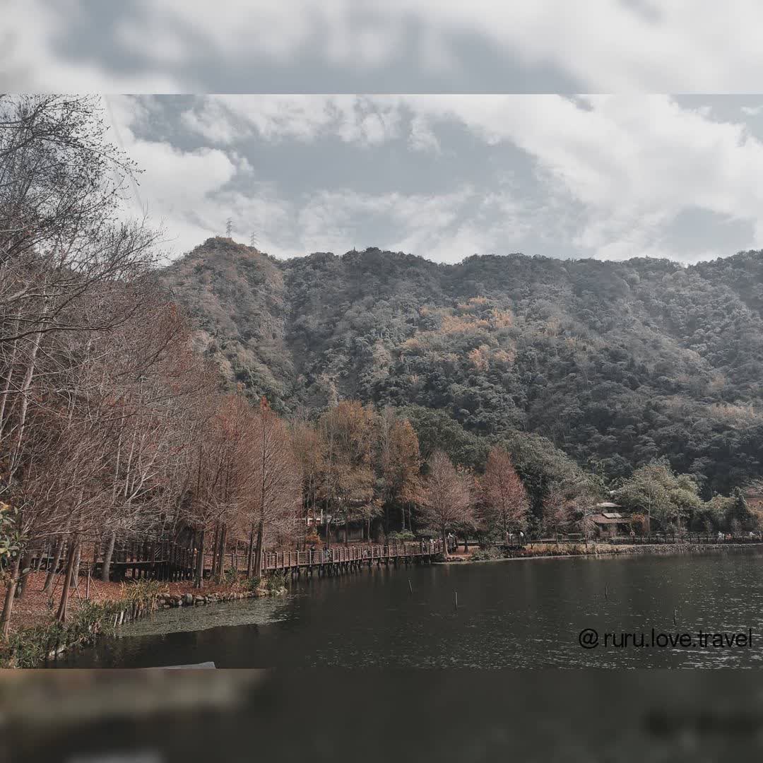 貯木池 | 去趣 chicTrip