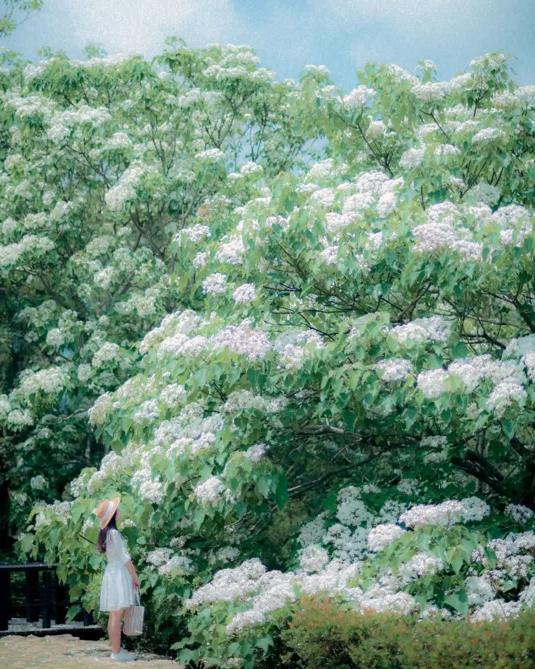 臺灣客家文化館 | 去趣 chicTrip