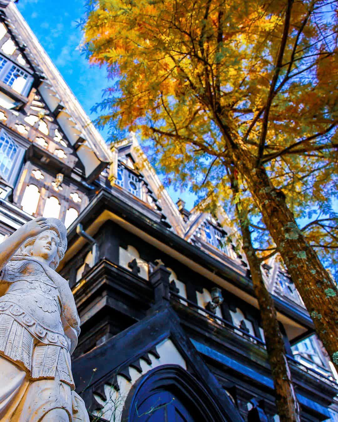 清境老英格蘭莊園民宿｜清境農場｜清境住宿推薦 | 去趣 chicTrip