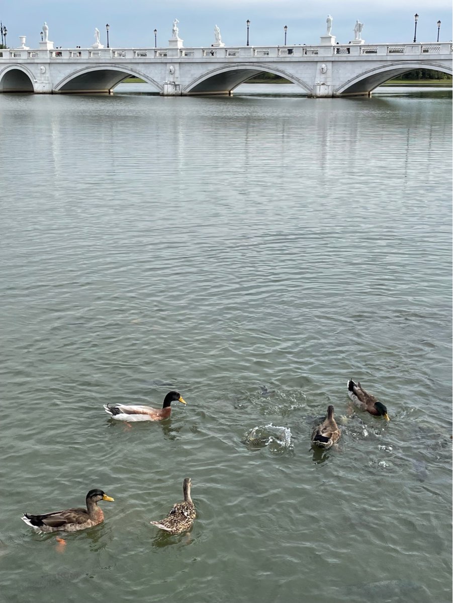 奇美博物館 | 去趣 chicTrip