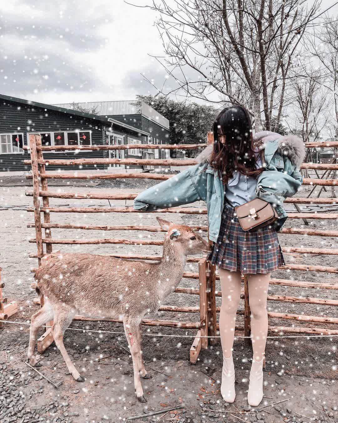 宜蘭-斑比山丘 | 去趣 chicTrip