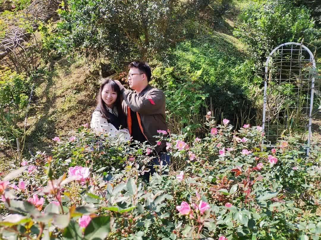 雅聞七里香玫瑰森林 | 去趣 chicTrip
