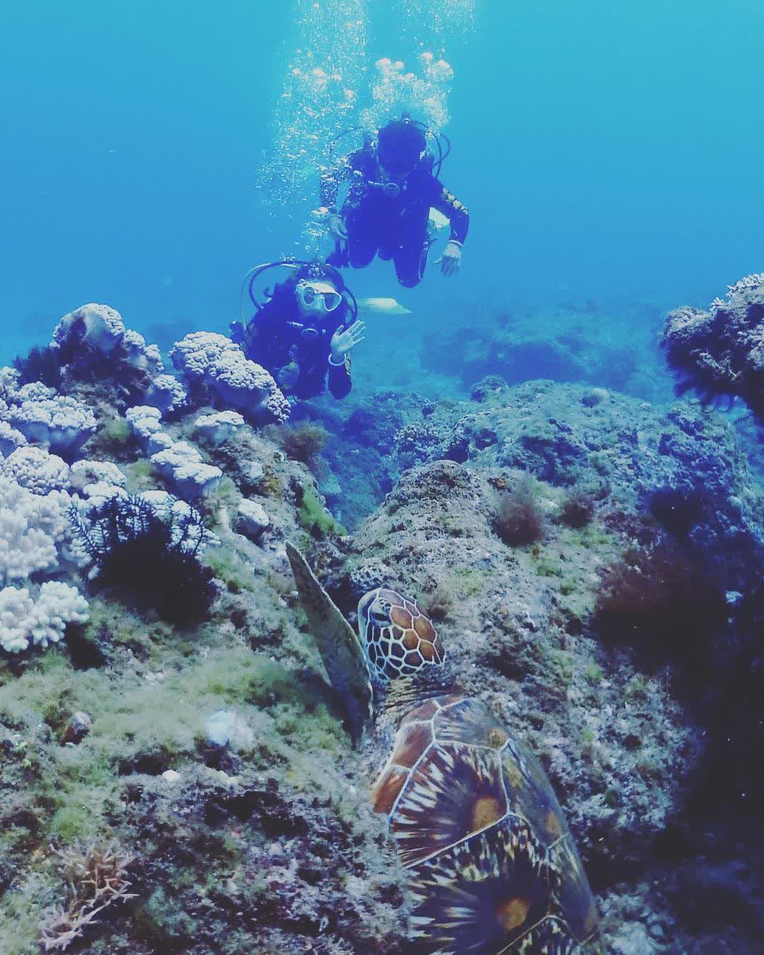 琉球嶼 | 去趣 chicTrip