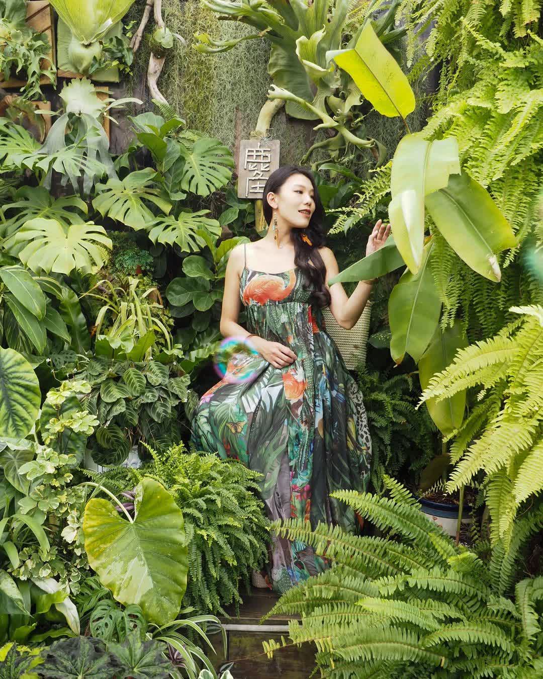 鹿角café | 去趣 chicTrip