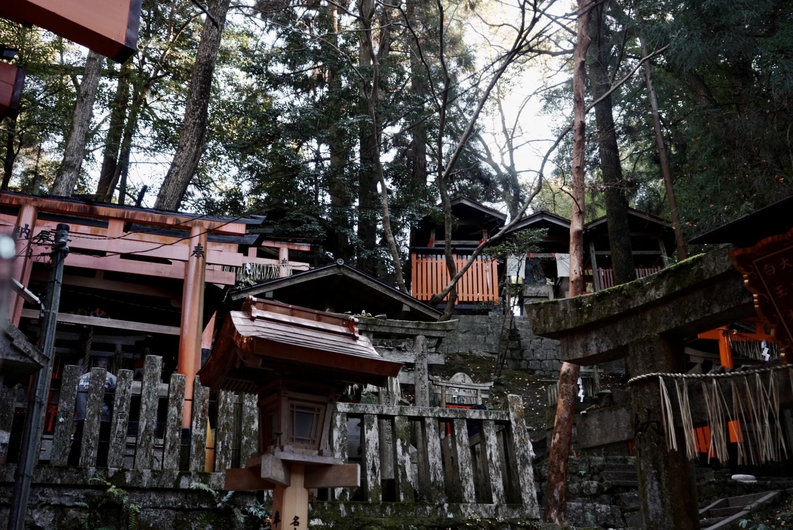 伏見稻荷大社 | 去趣 chicTrip