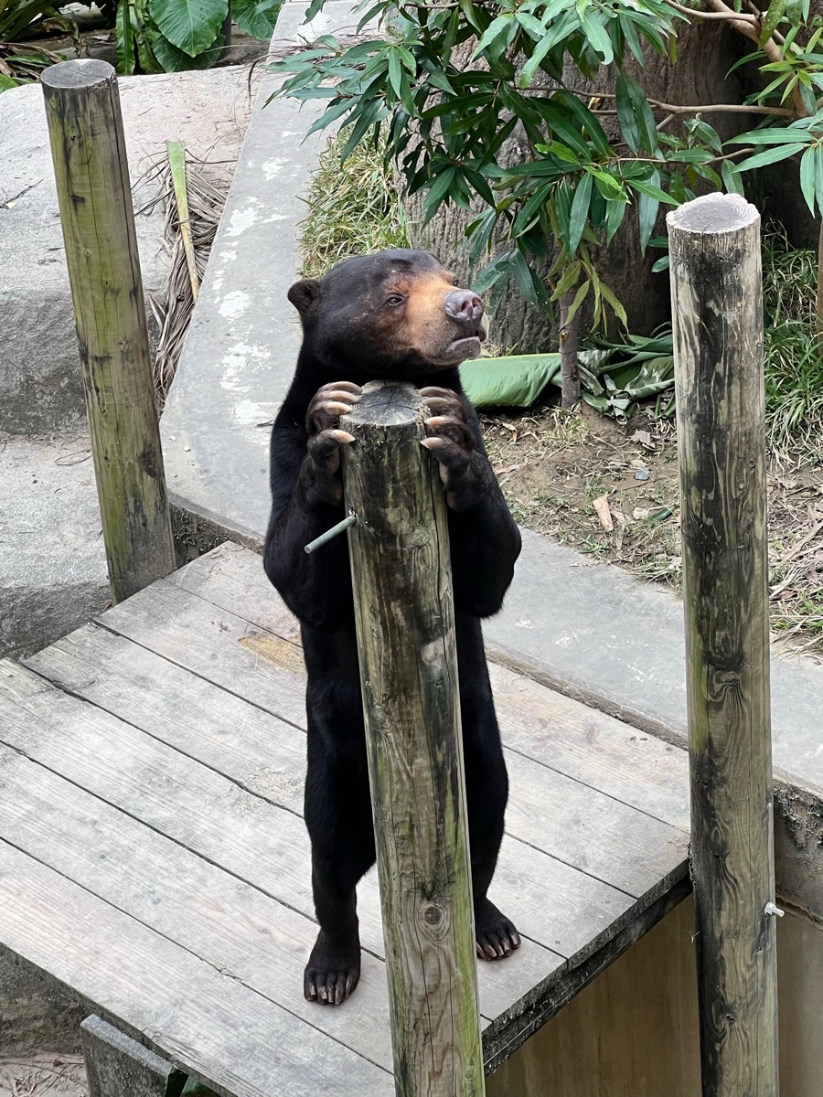 沖繩兒童王國 | 去趣 chicTrip