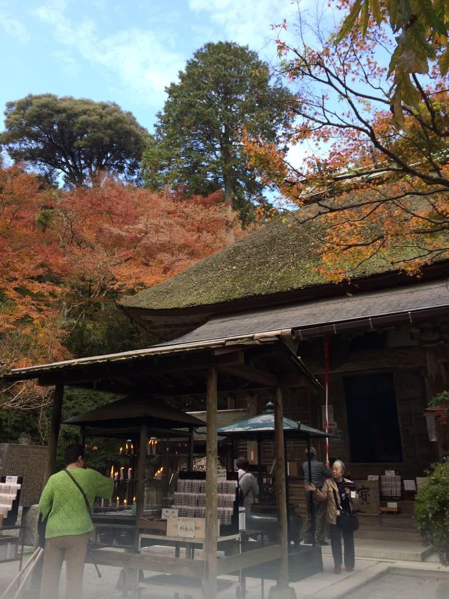 大興善寺 | 去趣 chicTrip