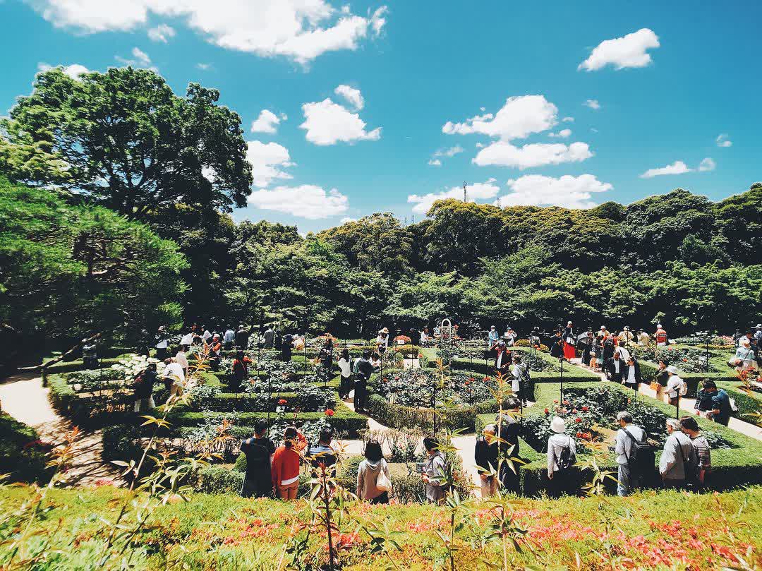 舊古河庭園 | 去趣 chicTrip