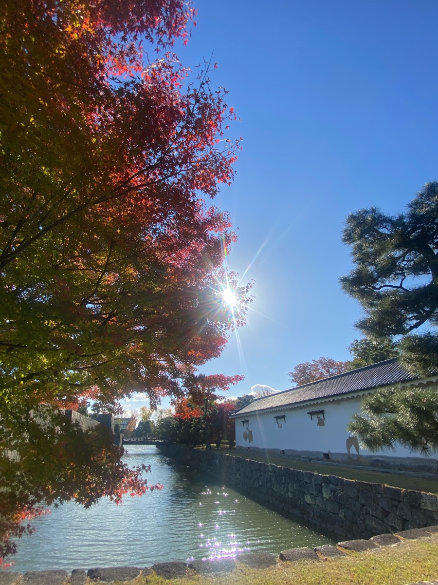 二條城 | 去趣 chicTrip