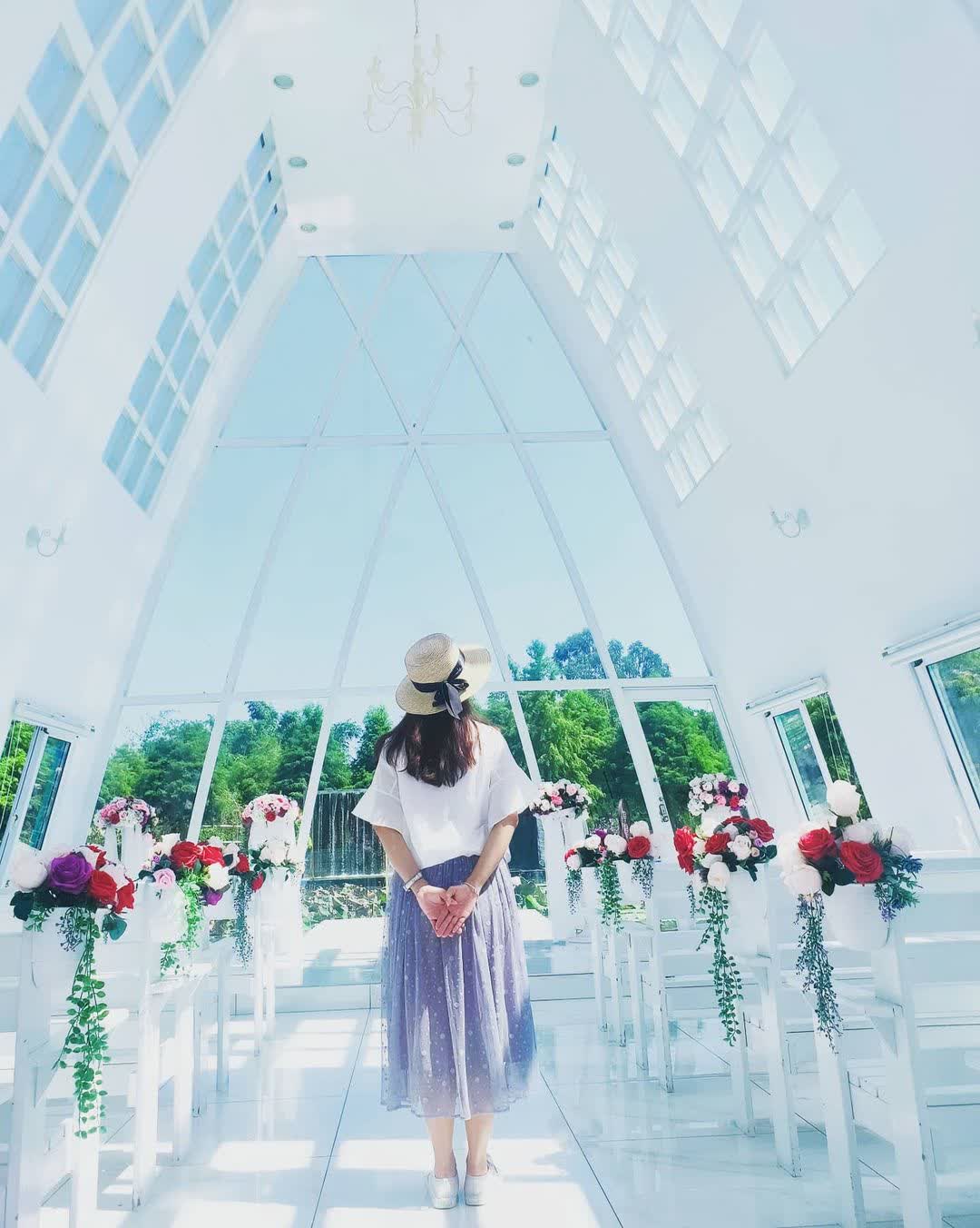 粉紅泡泡 | 去趣 chicTrip