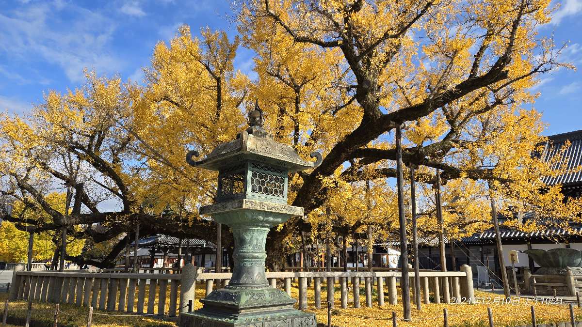 西本願寺 | 去趣 chicTrip