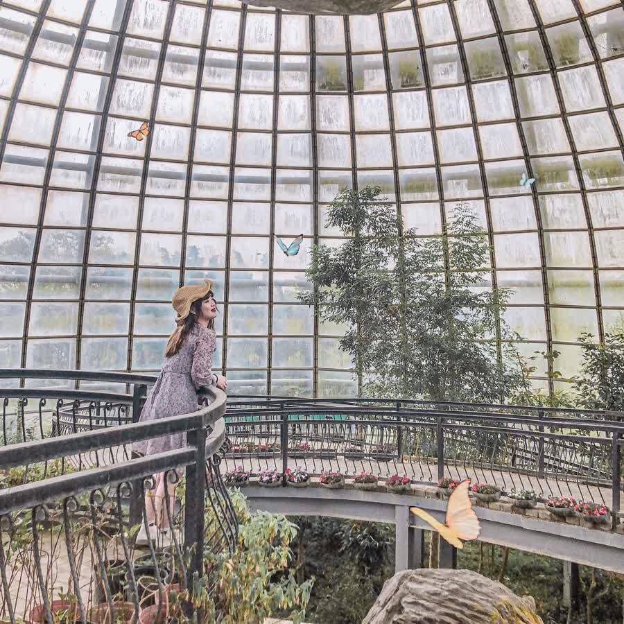 嘉大昆蟲館 | 去趣 chicTrip