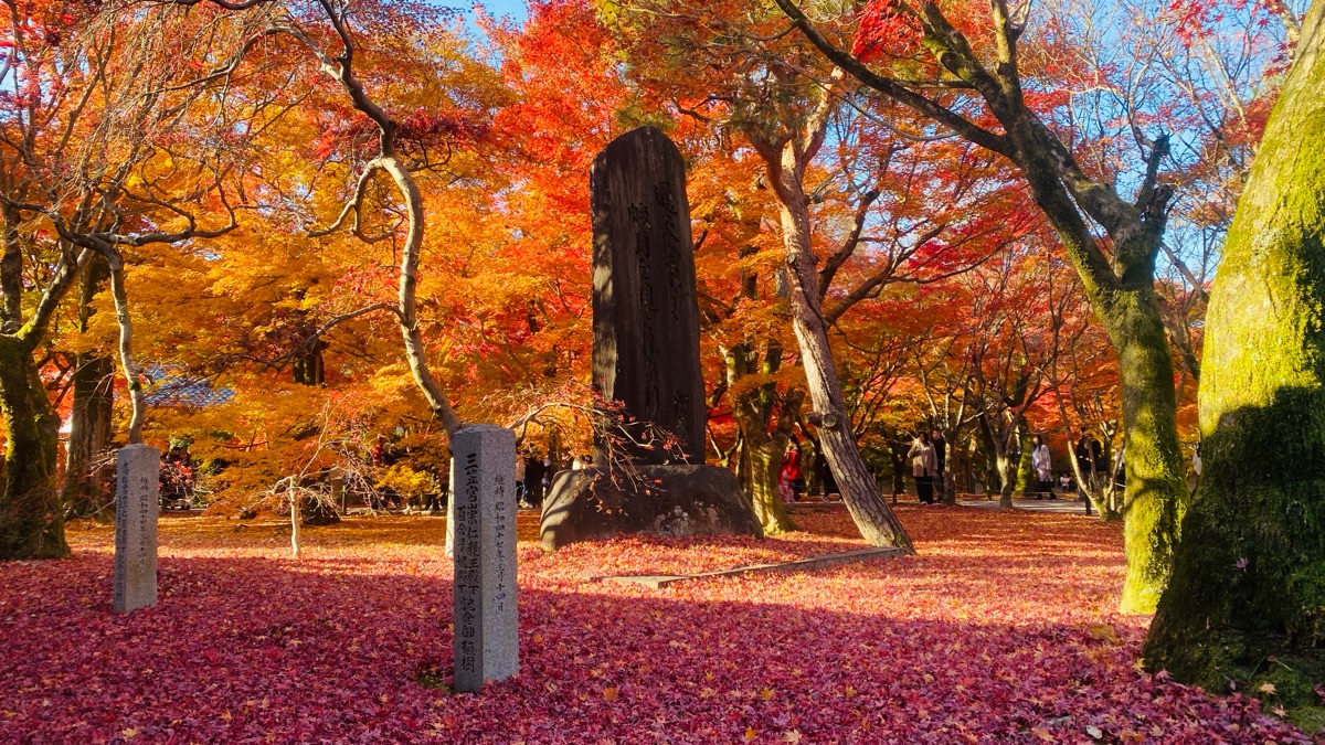 東福寺 | 去趣 chicTrip