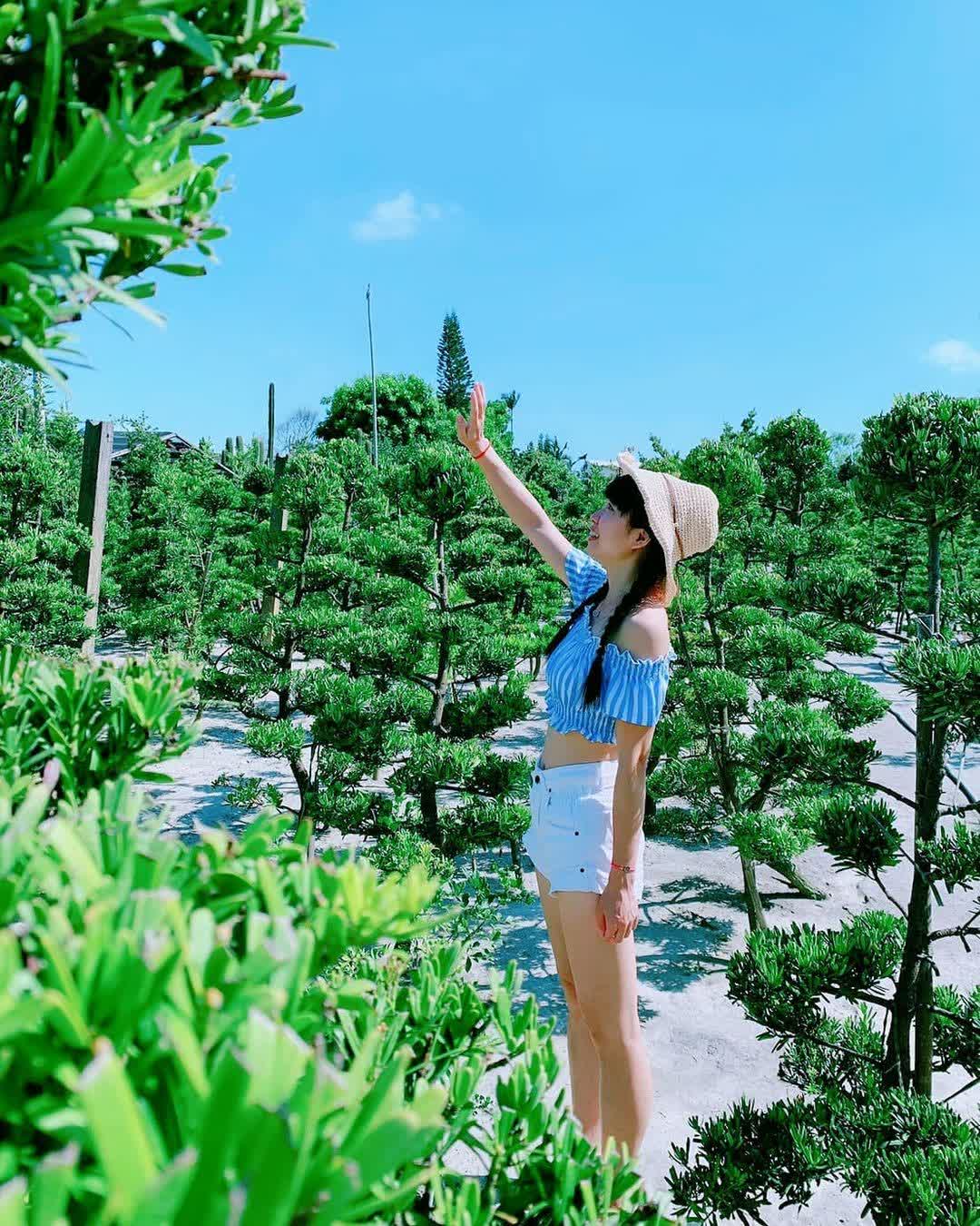 田尾公路花園 | 去趣 chicTrip