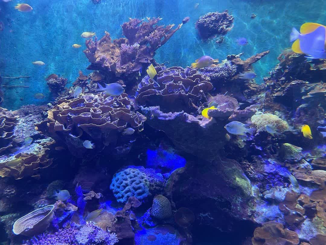 國立海洋生物博物館 | 去趣 chicTrip