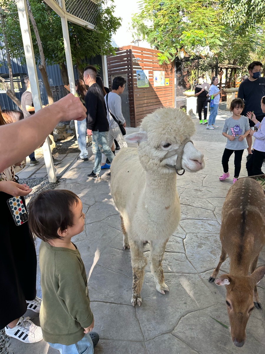 淨園農場 | 去趣 chicTrip