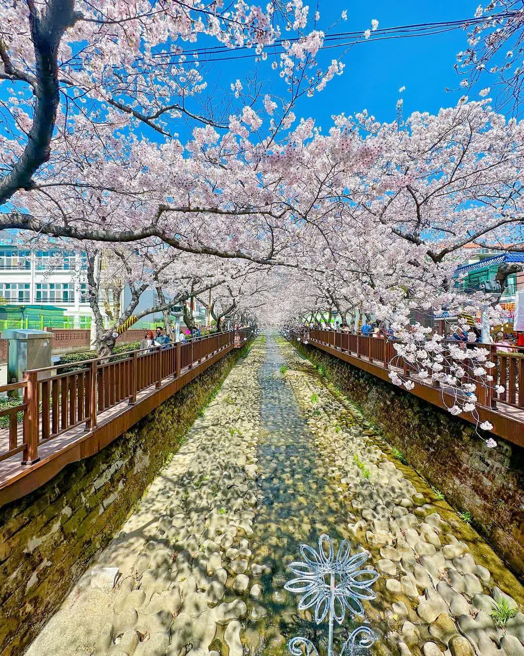 余佐川羅曼史橋 | 去趣 chicTrip