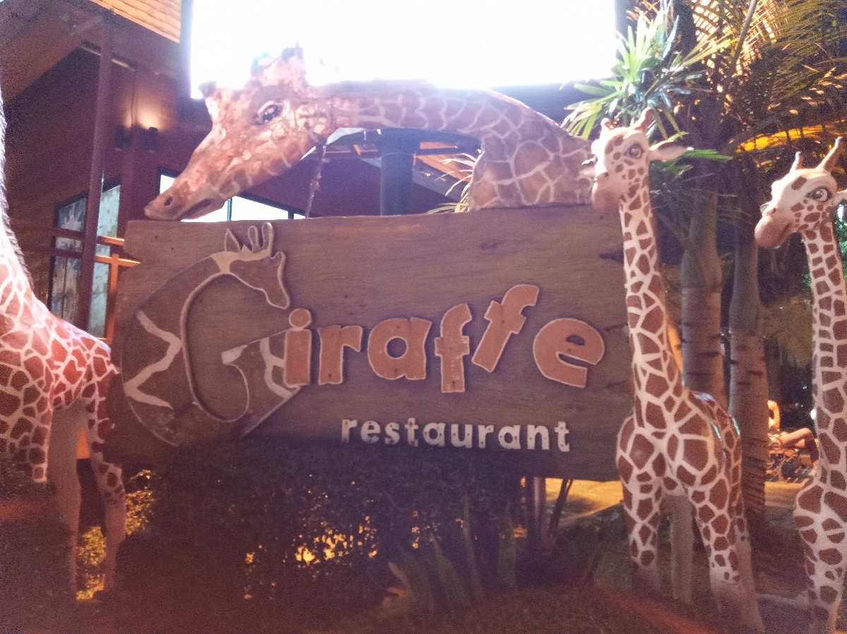 清邁夜間動物園 | 去趣 chicTrip